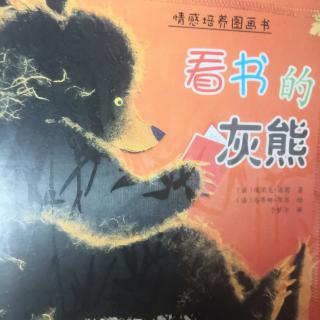 看书的灰熊