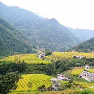 在人生的旅途中，名为青春的潮水淹没了我们