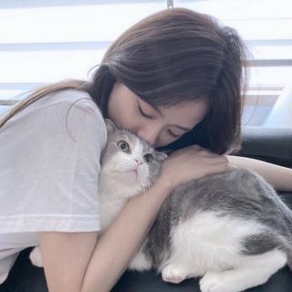 睡前故事【壹壹壹的猫】：她和她的猫