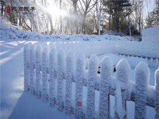 《第一场雪》-小粥