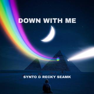 SyntoRECKY SEAMK：Down With Me