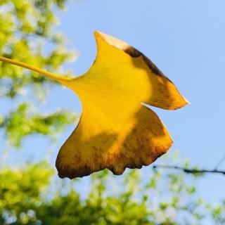 今日天气忽从晴转雨 - 芳🌾😚🙊