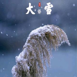 写在大雪  作者  徐树义