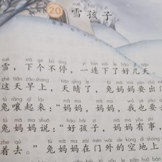 20雪孩子