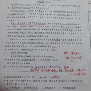 第六单元提优卷阅读题讲解