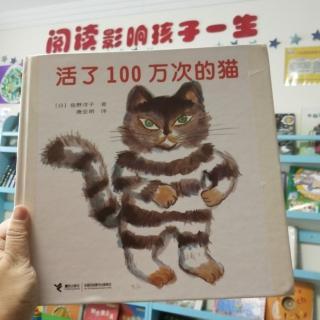 小霞老师讲故事-活了100万次的猫