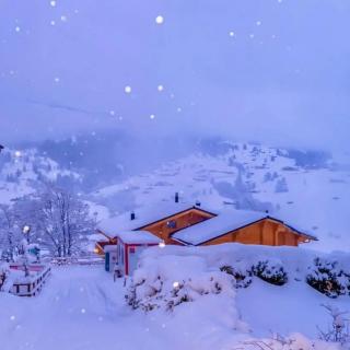 雪会不期而至，而你带笑地走向我 | 来自「为你读诗」