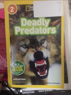 Dec.4 Deadly Predators-Dodo1