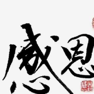 杨丽老师分享《藏奥堂熏蒸疗法2》解放花园2020.12.4