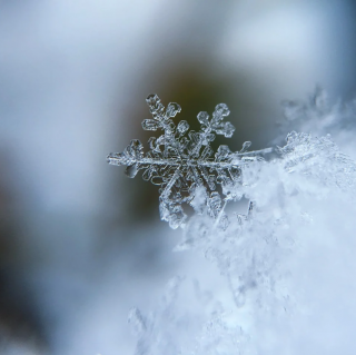 金子美玲《积雪》