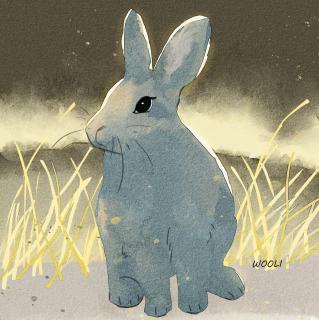 离家闯荡世界的小灰兔丨动物西游783集