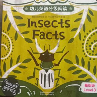 insects facts