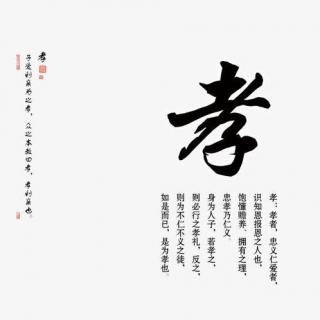 寻古探今 | 孝道文化（上）