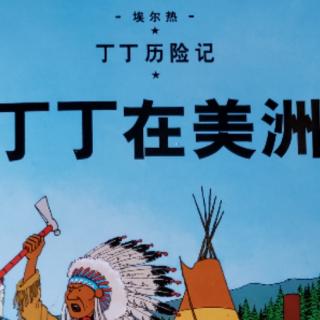 丁丁在美洲2