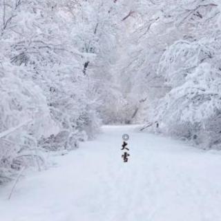 隆冬大雪