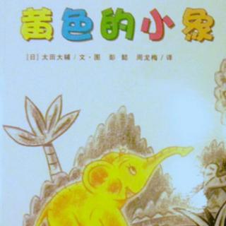 黄色的小象——苑苑老师爱❤️的小故事