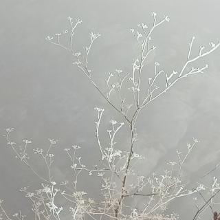 《第一场雪》竣青