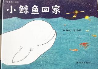月亮哥哥生日特刊故事推荐第402期《小鲸鱼回家》