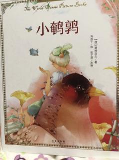 绘本《小鹌鹑》