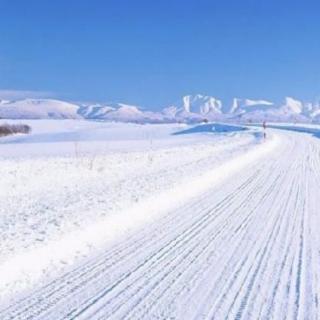 《看见了雪花，就想起了你》文/唱进元.诵/葆青