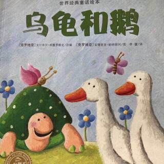 第三实验幼儿园故事推荐(第129期):《乌龟和鹅》