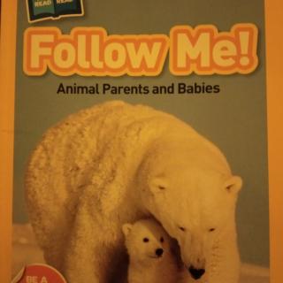 Follow Me!
Animal Parents and Babies