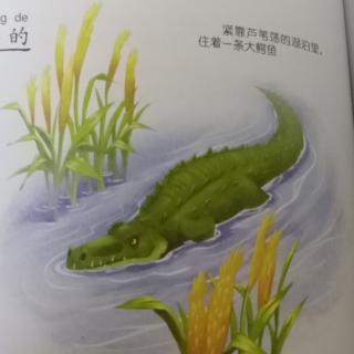 《会讲恐怖故事的鳄鱼🐊》