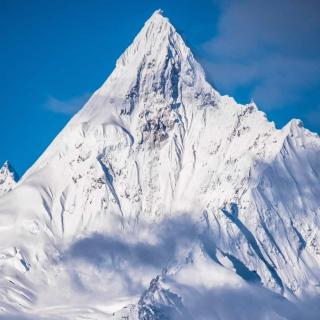 雪中即景