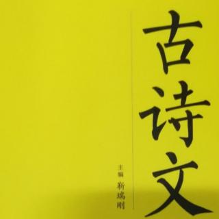 古诗文——《野望》