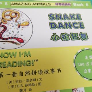 自拼《SNAKE DANCE》