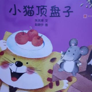 小猫顶盘子