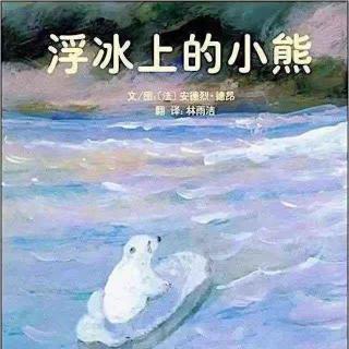 浮冰上的小熊