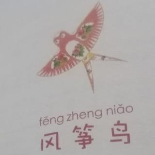 《风筝鸟🐦》