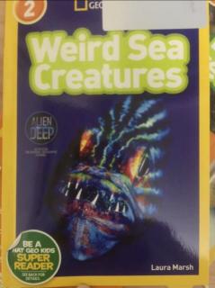 Dec.11 Wried Sea Creatrues-Dodo 1