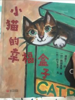 小猫的幸福盒子