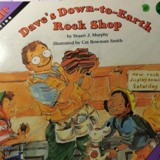 Dave's Down-to-earth rock shop