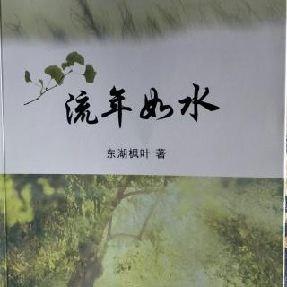 小说《流年如水（前言）》作者主播东湖枫叶