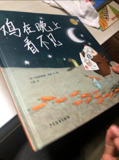 a339鸡在晚上看不见2