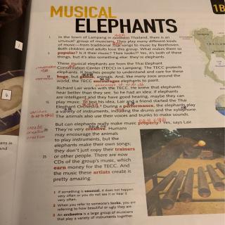 Musical Elephants 12 11