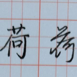 大明、笨笨，还是小闲