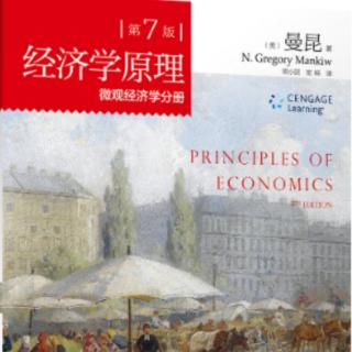 曼昆经济学原理20.4—负所得税