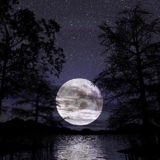 中文冥想助眠：湖与月光的梦