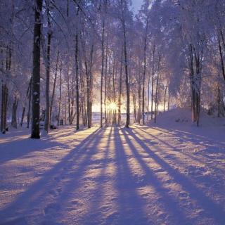 Sunshine.580 晚来天欲雪 播音：李享、丁梦  编辑：黎炳烨 