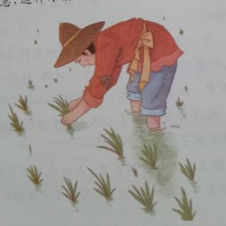 拔苗助长