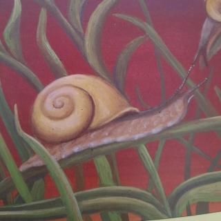 蜗牛