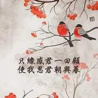 艳萍解读《古相思曲》（其一）汉乐府