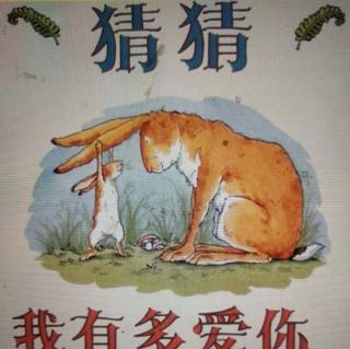 《猜猜我有多爱你》