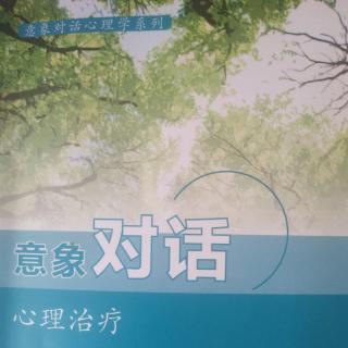 意象对话心里治疗8（朱建军教授）