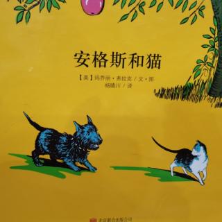 安格斯和猫