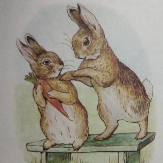 姥姥讲故事《一只凶猛的坏兔子的故事》